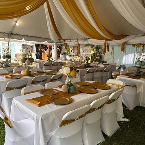 Image W&V Party Rental