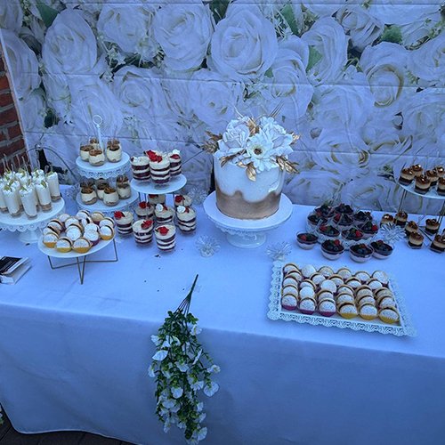 Image W&V Party Rental